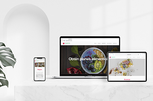 Diseño y desarrollo de página web a Sanavita